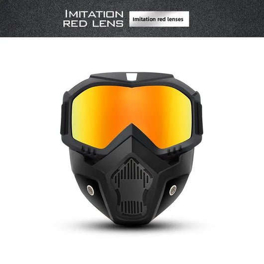 Full-Face Protective Goggle for Yard Work & DIY