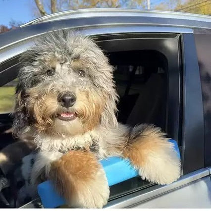 Dog Window Protector & Chin Rest