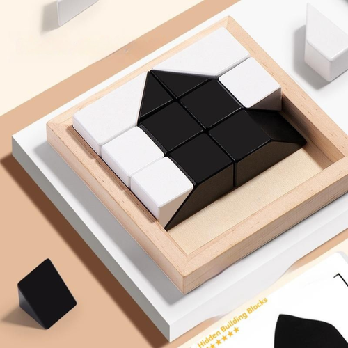 Hidden Blocks Brain Builder